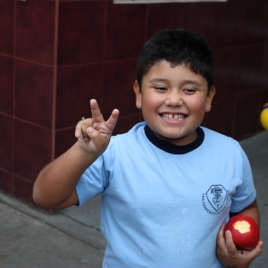 Día de la Actividad Física